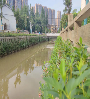 襄陽市襄城區(qū)渭水河綜合治理工程二標(biāo)